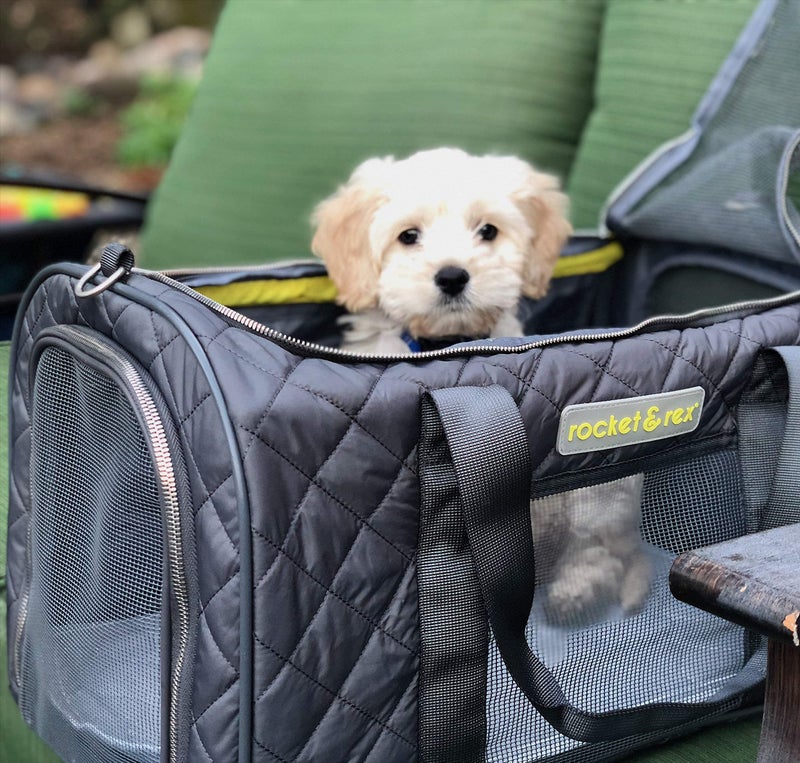 rocket & rex Dog Carrier Airline Approved. Soft-Sided Cat Carrier, Pet Carrier. Everyday Use, Car, Plane Travel. Collapsible, Rigid Frame for Easy Storage. - Image 3